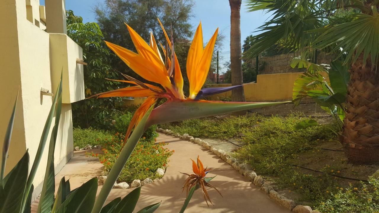 מנילבה Duquesa Village מראה חיצוני תמונה